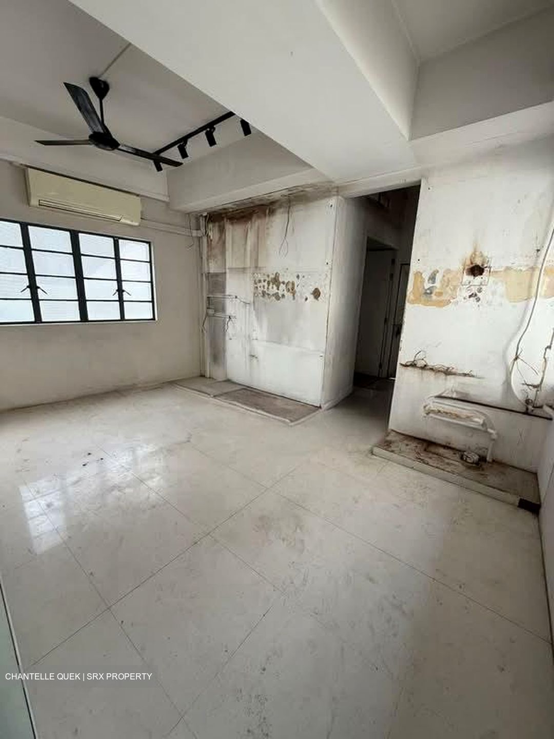Jalan Besar (D8), Shop House #557618421